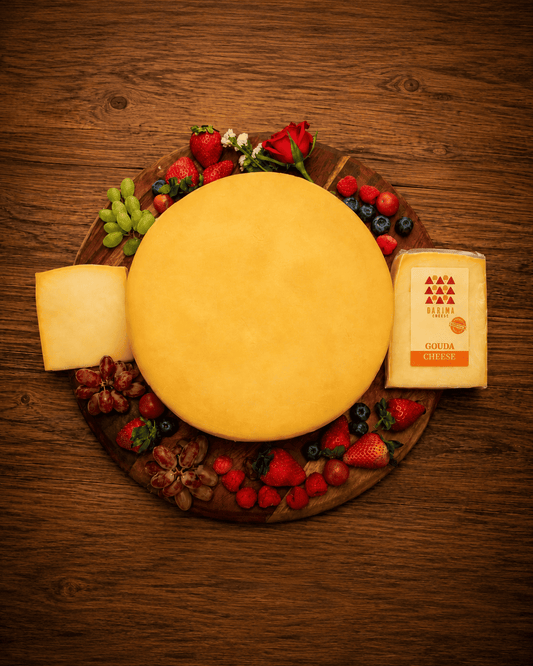 Gouda